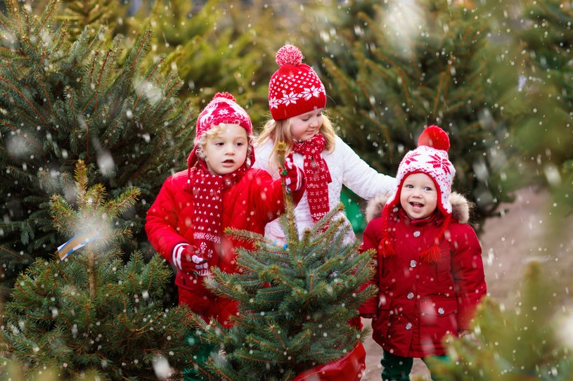 Jest szansa na białe święta! Sprawdź najnowszą prognozę pogody na Wigilię i Boże Narodzenie /123RF/PICSEL