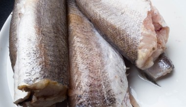 Jest tańsza od dorsza, nie ma ości, a mięso soczyste i delikatne. W Biedronce i Lidlu można kupić na promocji 