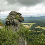 Jest tu słoń, wielbłąd, a nawet mamut. Doskonała opcja na weekend!