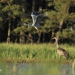 Jest zapowiedź nowego parku narodowego. Resort klimatu odsłonił karty