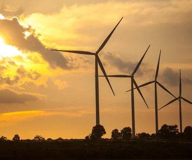 Jest zielone światło ws. wiatraków. "Pozwolą istotnie obniżyć ceny energii"