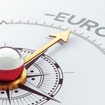 Jesteśmy już gotowi na przyjęcie euro, tylko czy chcemy?