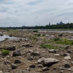 Jesteśmy na krawędzi katastrofy. Tak niskiego poziomu Wisły nie było jeszcze nigdy