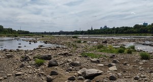 Jesteśmy na krawędzi katastrofy. Tak niskiego poziomu Wisły nie było jeszcze nigdy