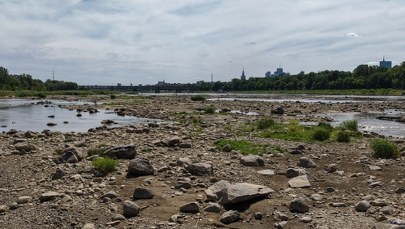 Jesteśmy na krawędzi katastrofy. Tak niskiego poziomu Wisły nie było jeszcze nigdy