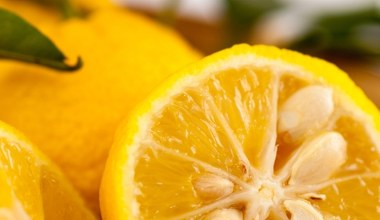 Jesz cytrusy z pestkami? Zdziwisz się, jak działają na twój organizm 