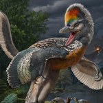 Jeszcze dinozaur czy już ptak? Archeolodzy znaleźli brakujące ogniwo