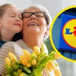Jeszcze tylko dziś i jutro! Wielki wybór kwiatów na Dzień Babci i Dziadka w Lidlu
