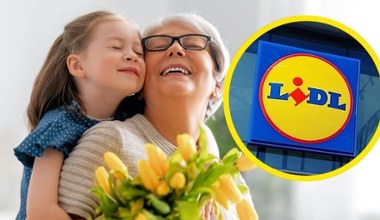 Jeszcze tylko dziś i jutro! Wielki wybór kwiatów na Dzień Babci i Dziadka w Lidlu