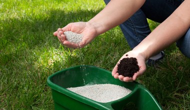 Jeszcze w grudniu rozsyp to na trawniku. Wiosną sobie podziękujesz 
