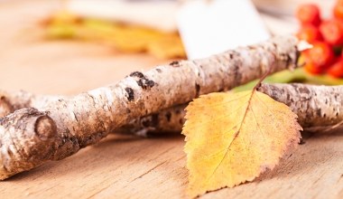 Jeszcze w styczniu zrób to z gałęzią. Ochronisz rodzinę przed problemami