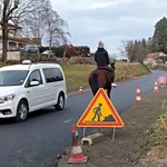 Jeździ do pracy na koniu, bo nie stać go na paliwo do samochodu