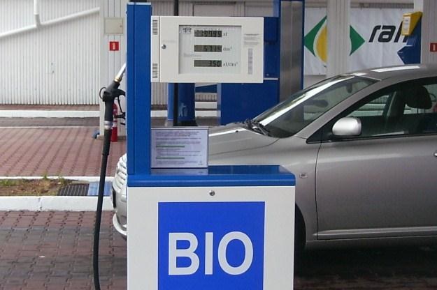 Jeździłeś na biopaliwie? /INTERIA.PL