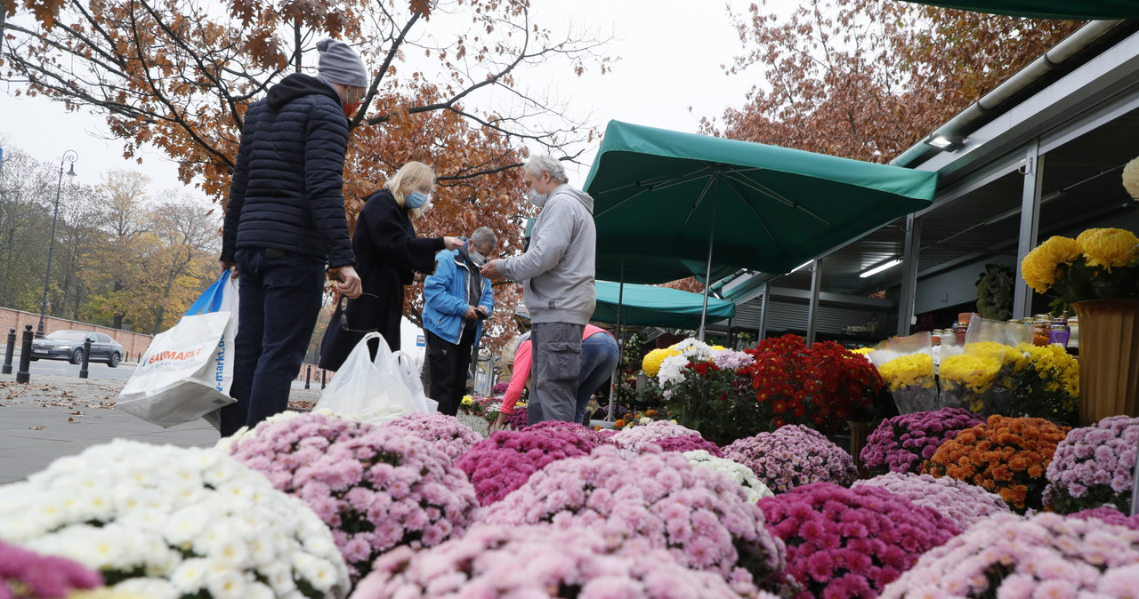 „Jeżeli nie sprzedamy kwiatów, to pójdą na kompost” /Piotr Molecki /East News