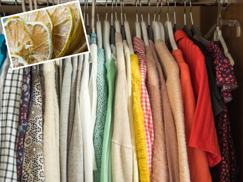 Jeżeli ubrania w twojej szafie brzydko pachną, koniecznie włóż do niej ten produkt /Pixel