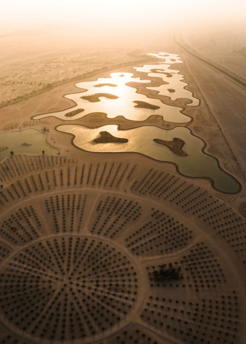 Jeziora Al Qudra są jednym z najpopularniejszych kierunków ekoturystycznych /materiały prasowe