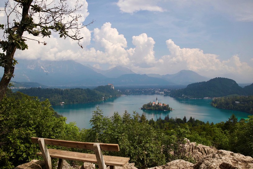 Jezioro Bled można podziwiać z punktów widokowych /Anadolu Agency / Contributor /Getty Images