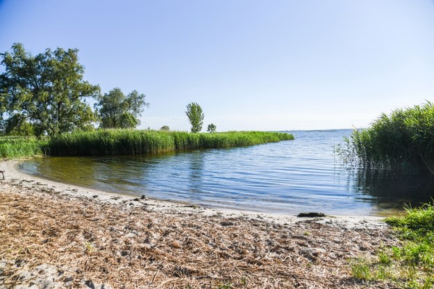 Jezioro Dąbie /Shutterstock
