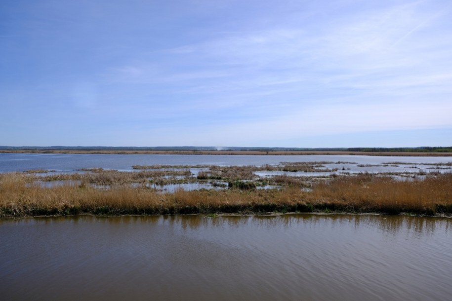 Jezioro Druzno /Shutterstock