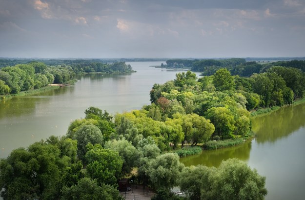 Jezioro Gopło /Shutterstock