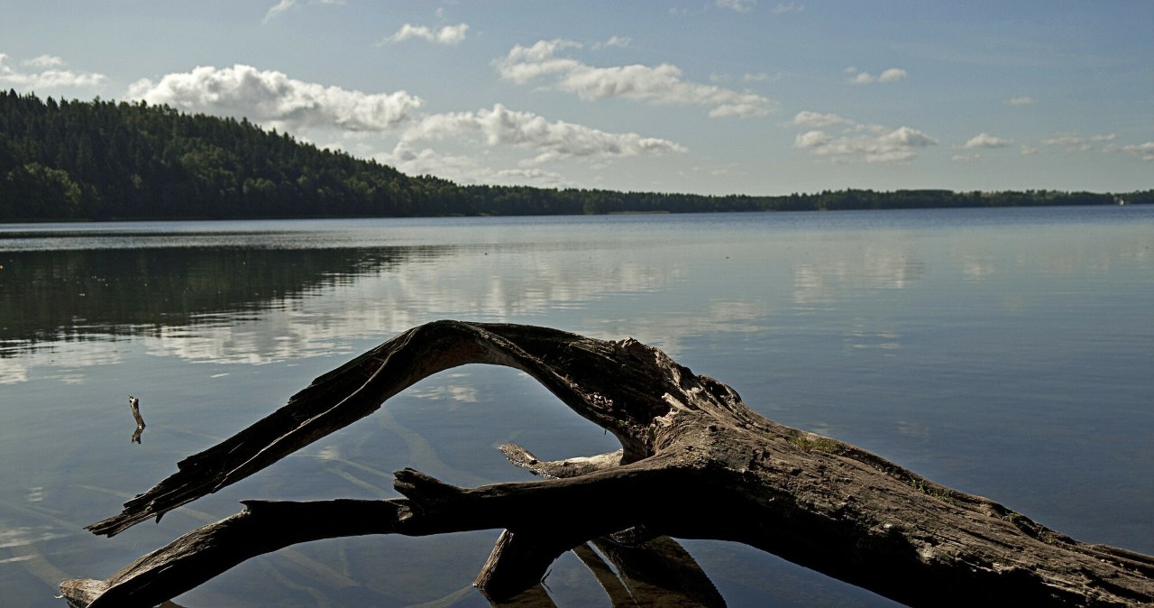 Jezioro Hańcza uznawane jest za najgłębsze jezioro w Polsce. Już sam widok na ten zbiornik zapiera dech w piersiach /MICHAL KOSC/REPORTER /East News