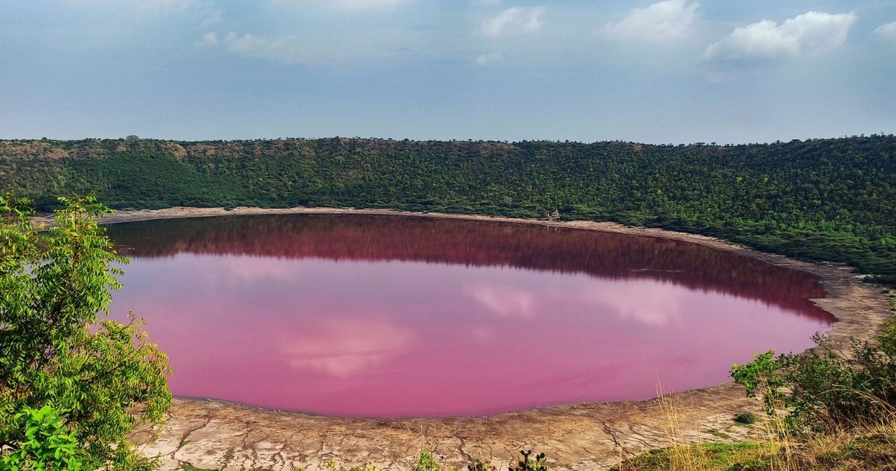 Jezioro Lonar w Buldhanie zmienia kolor na różowy. Powstało ok. 50 tys. lat temu w wyniku uderzenia meteorytu /123RF/PICSEL