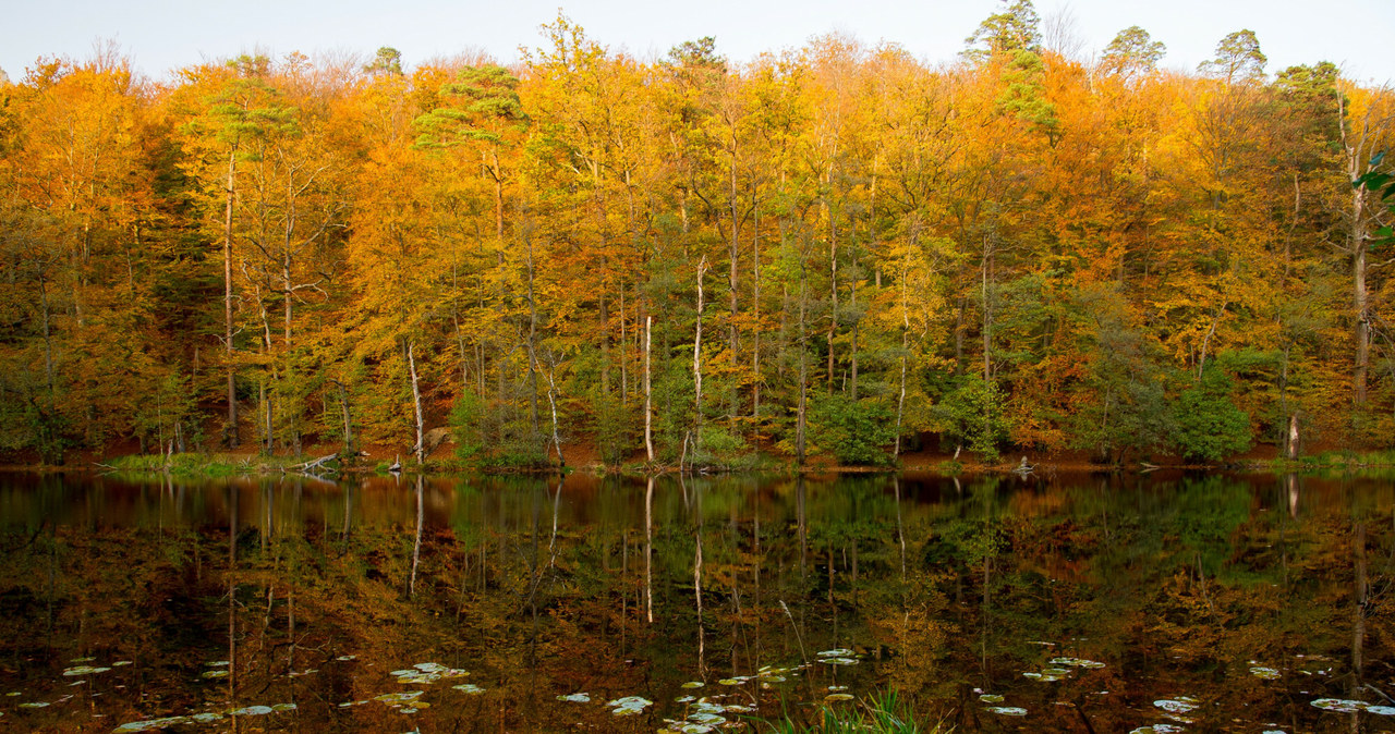 Jezioro Lubogoszcz to tylko jedno z wielu atrakcji Kaszub /123RF/PICSEL