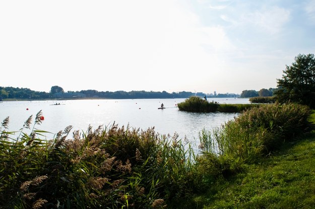 Jezioro Maltańskie w Poznaniu /Shutterstock