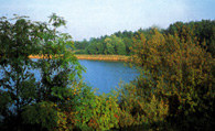Jezioro na wyspie Wolin /Encyklopedia Internautica