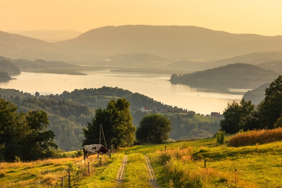 Jezioro Rożnowskie /Shutterstock