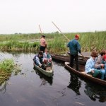 Narew Jezioro trzeba osuszyć. Po to, by ratować rzekę. Zaskakujący pomysł Polaków