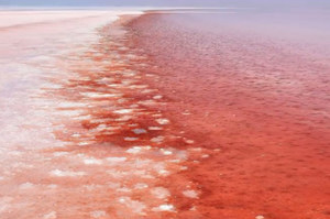 Jezioro w Turcji zmieniło kolor na czerwony