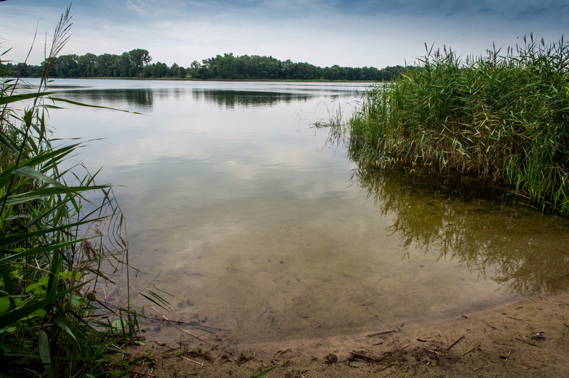 Jezioro Wiecanowskie w pobliżu miejscowości Chałupska /Tytus Żmijewski /PAP