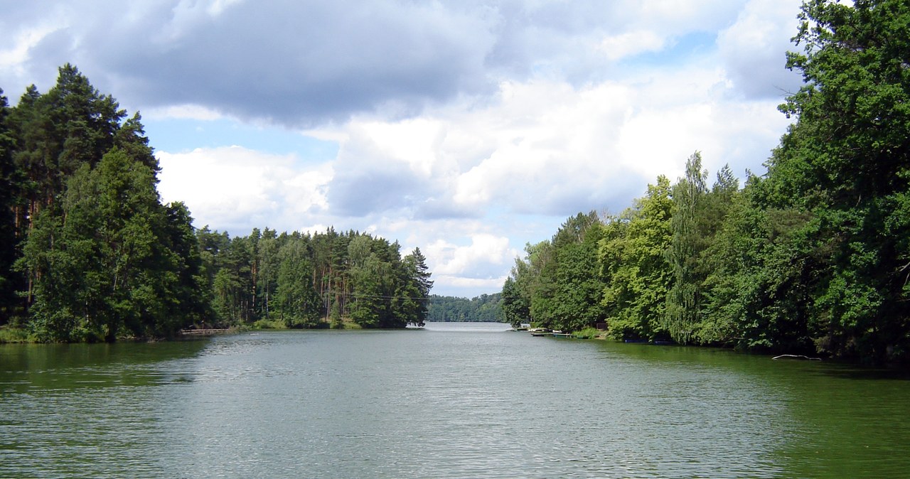 Jezioro Żurskie w Borach Tucholskich /Wikipedia Commons /materiał zewnętrzny