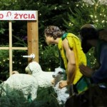 Jezus w oknie życia i na bochenku chleba, czyli najciekawsze szopki bożonarodzeniowe