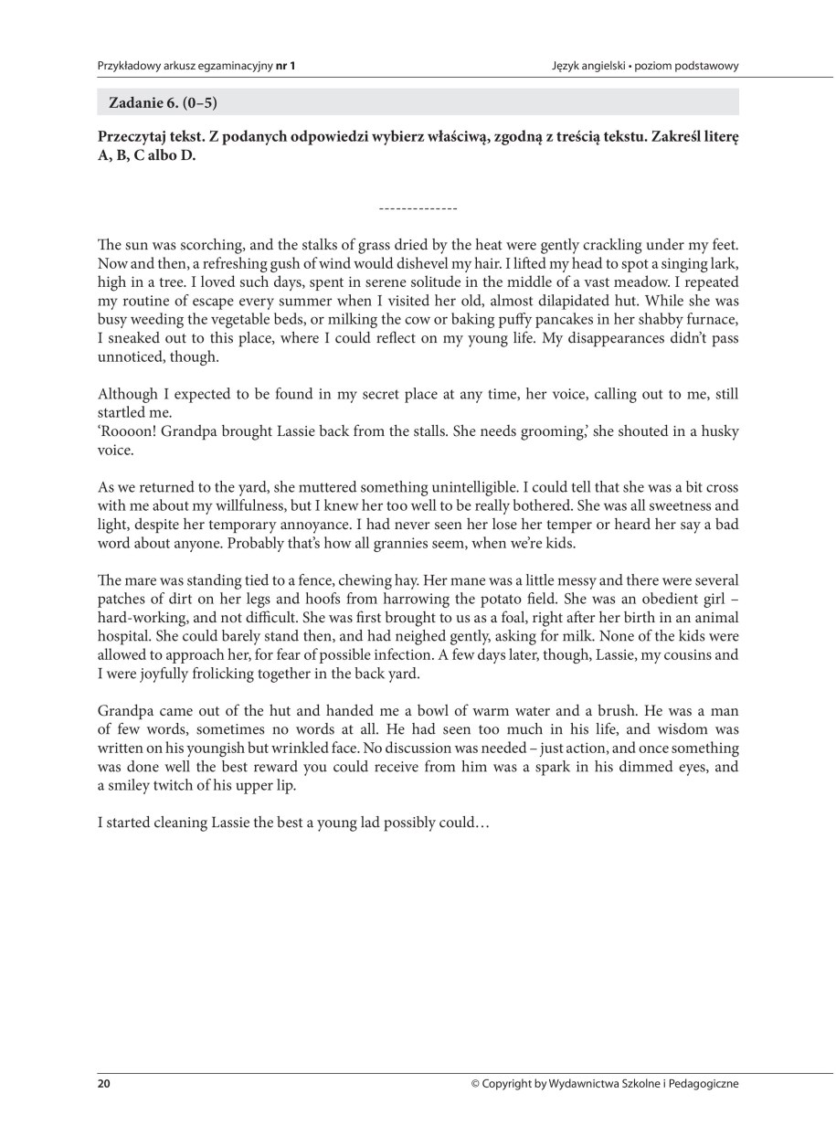 Język angielski - przykładowe zadania /