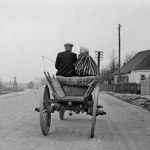 Język niby polski, a jak obcy. Sprawdź, czy znasz te zapomniane słowa