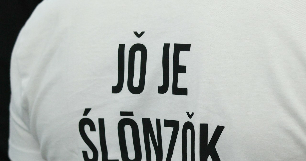 Język śląski w Google Tłumacz. /Michal Zebrowski/East News /East News