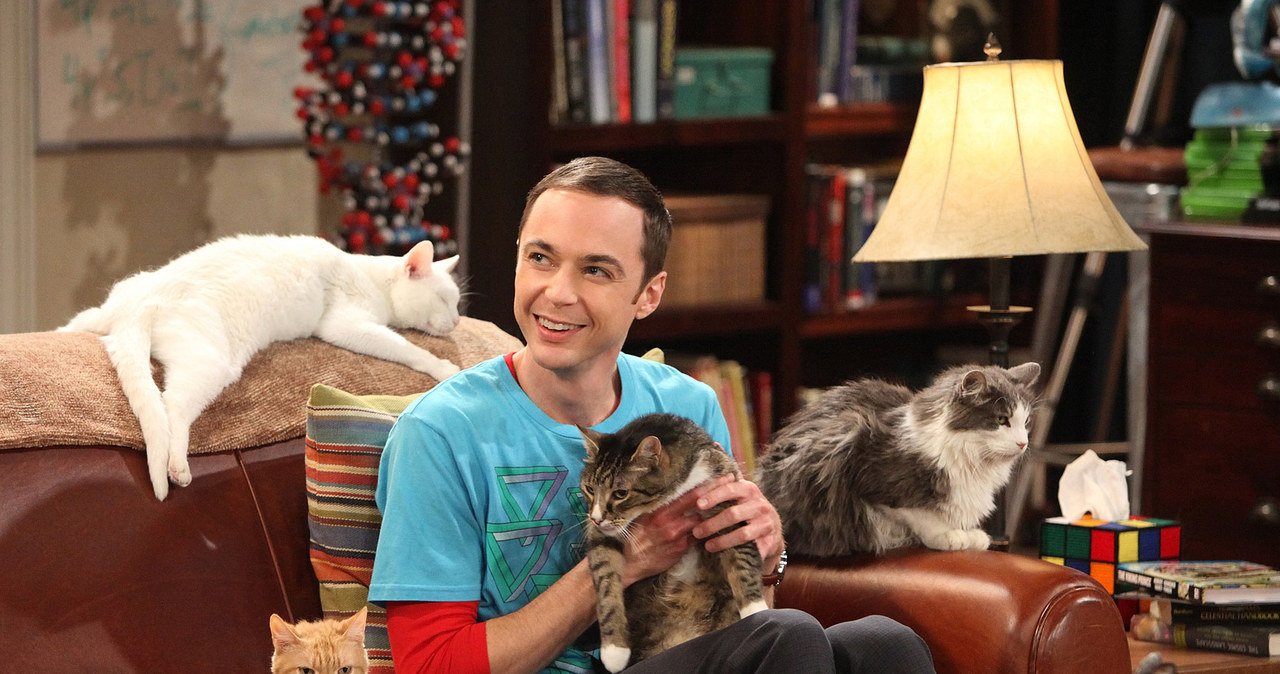 Jim Parsons w serialu "Teoria wielkiego podrywu" /Richard Cartwright/CBS /Getty Images