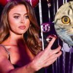 ​Joanna Opozda przestraszyła się afery? Przeprasza kocią kawiarnię. Odwraca kota ogonem?