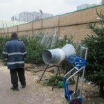 ​Jodła czy świerk? Ekspert podpowiada, które drzewko wytrzyma dłużej