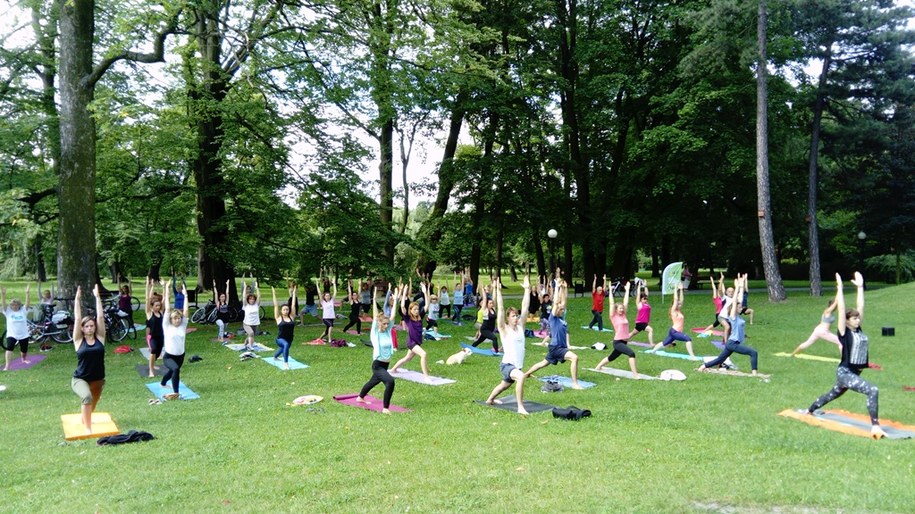 Joga w łódzkich parkach pojawi się w tym roku już po raz dziesiąty /Zielona Łódź /Materiały prasowe