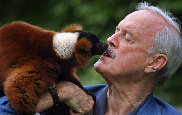 John Cleese z lemurem, fot. Matt Cardy &nbsp; /Getty Images/Flash Press Media