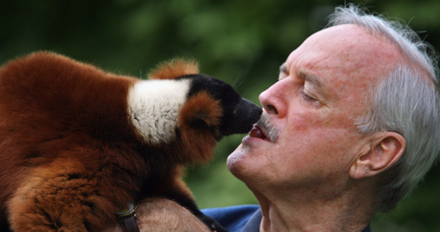 John Cleese z lemurem, fot. Matt Cardy &nbsp; /Getty Images/Flash Press Media