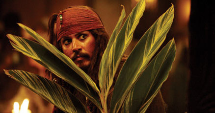 Johnny Depp jako Jack Sparrow /