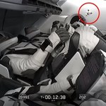 Joy poleciał w kosmos. Pluszowy łabędź z misji AX-4 to nie tylko zabawka