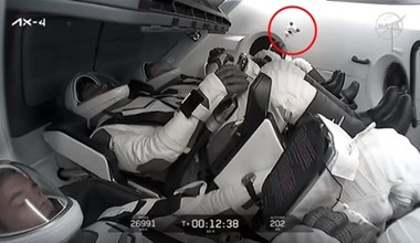 Joy poleciał w kosmos. Pluszowy łabędź z misji AX-4 to nie tylko zabawka