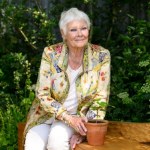 Judi Dench: Legenda kina kończy 90 lat. Bezwzględna choroba przerwała jej karierę