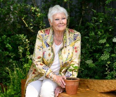 Judi Dench: Legenda kina kończy 90 lat. Bezwzględna choroba przerwała jej karierę