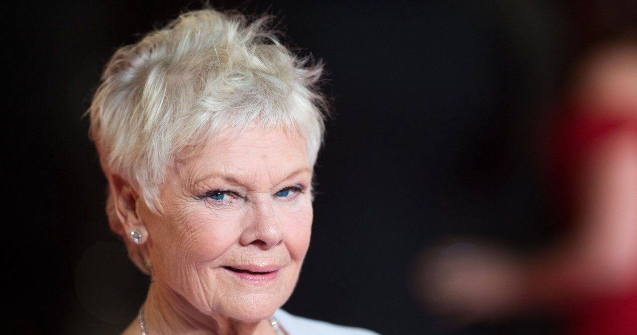 Judi Dench /Samir Hussein /Getty Images